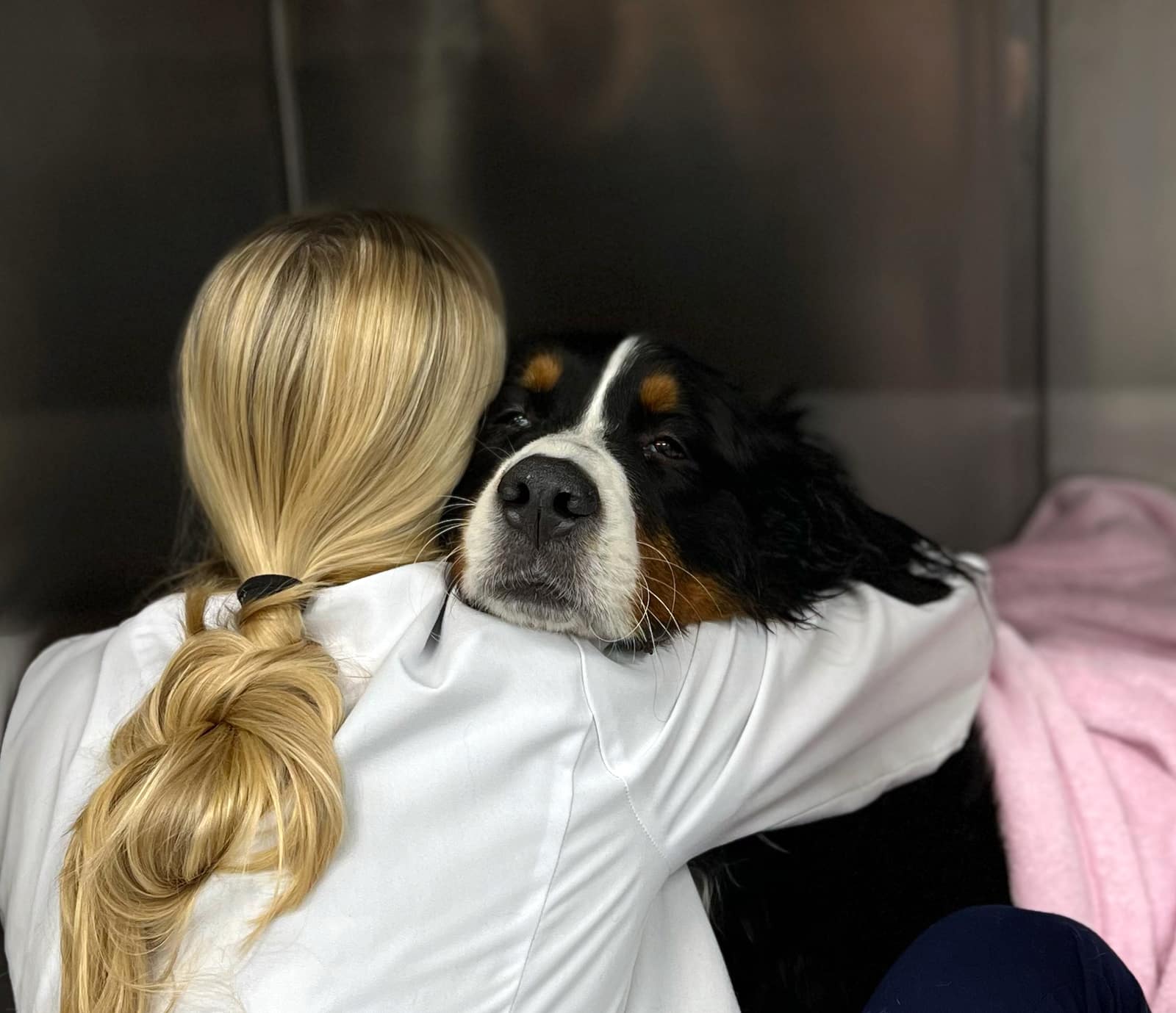 Veterinarian Hugging a dog
