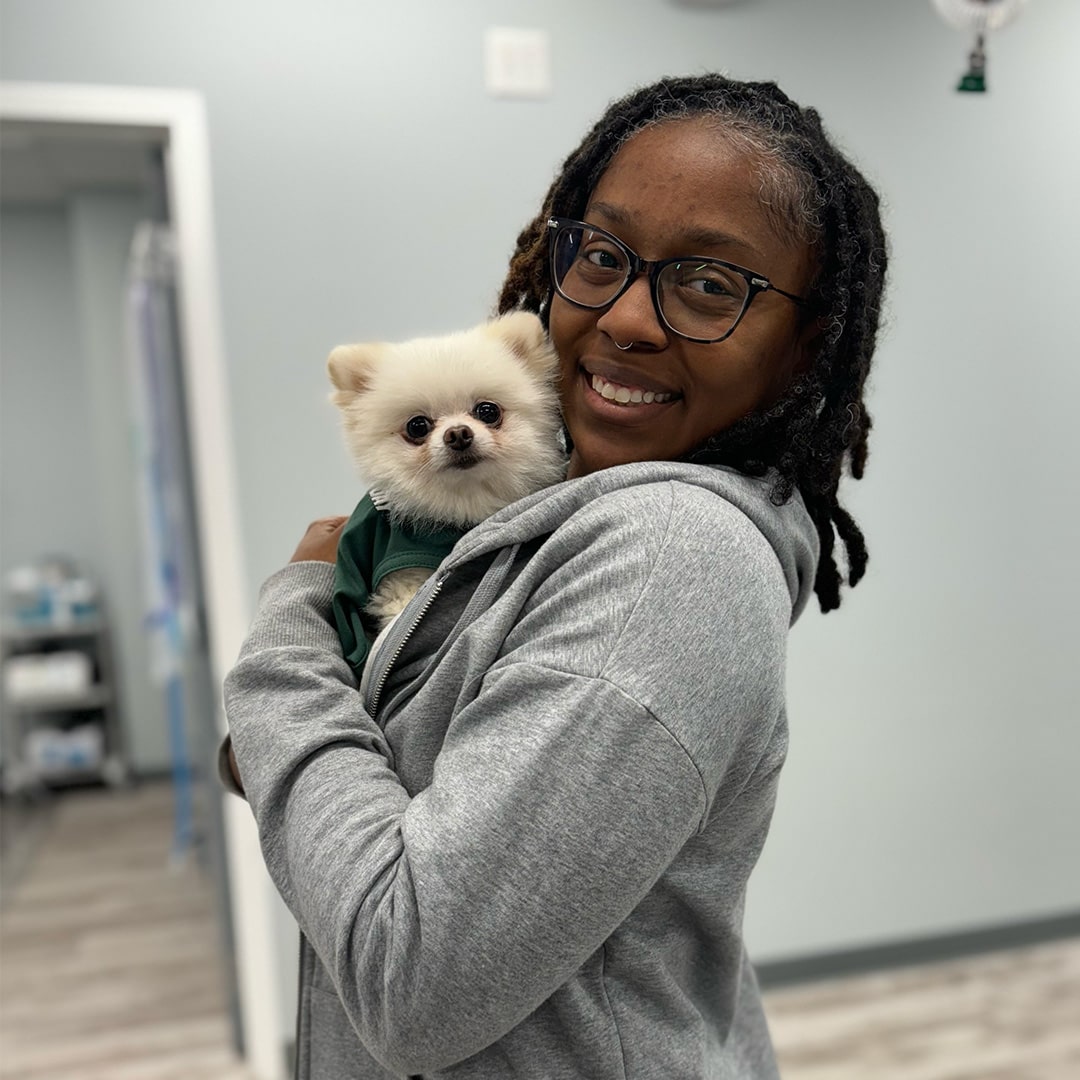 Charlotte Animal Companion Hospital in Charlotte, NC