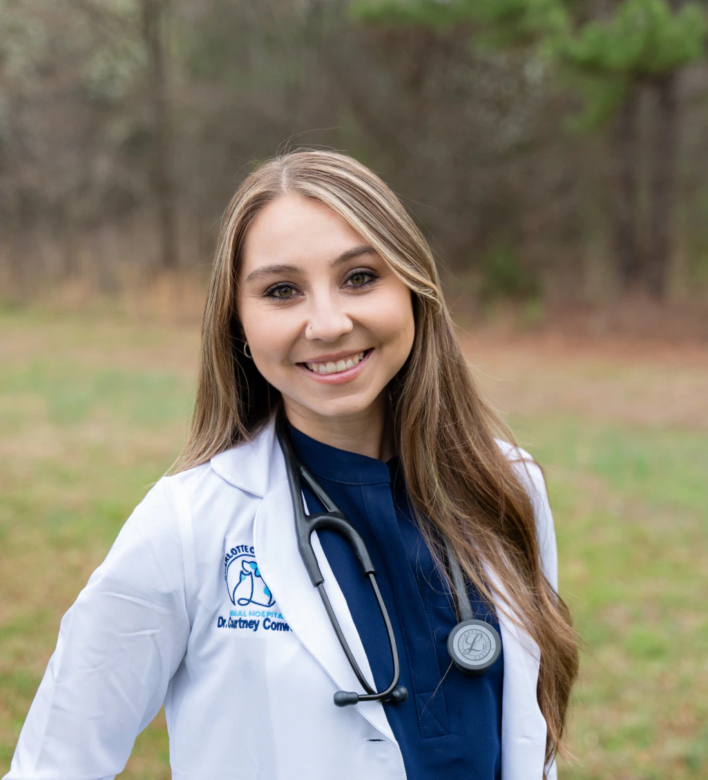 Dr Conway DVM